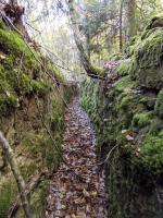 Ligne Maginot - BIESENBERG 1 - (Blockhaus pour arme infanterie) - Tranchée à l'arrière du blockhaus