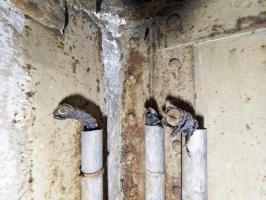 Ligne Maginot - BIESENBERG 2 - (Blockhaus pour arme infanterie) - Cables téléphoniques