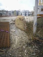 Ligne Maginot - 30B/1 - PONT-RAIL DE NEUF-BRISACH (FAHRGRUN) - (Abri) - Cloche allemande retrouvée à l'emplacement de l'abri en 2019
