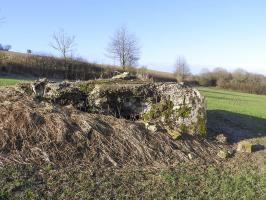 Ligne Maginot - BB149 - DORRWIESE 3 - (Blockhaus pour canon) - La façade de tir.