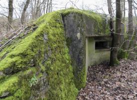 Ligne Maginot - M129 - NACHTWEID 1 - (Blockhaus pour arme infanterie) - Embrasure mitrailleuse en direction de l'inondation de l'Albe et des blockhaus du Mittenwald