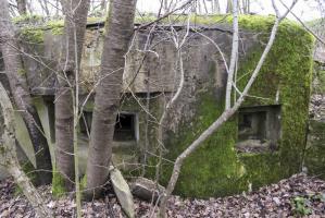 Ligne Maginot - M129 - NACHTWEID 1 - (Blockhaus pour arme infanterie) - Créneau FM en direction du talus de la voie ferrée et du passage du ruisseau de la Rose