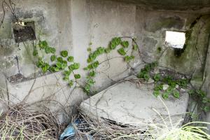Ligne Maginot - SALTZBRONN OUEST - (Blockhaus pour arme infanterie) - 