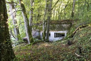 Ligne Maginot - SCHLOSSWALD 4 - (Blockhaus pour arme infanterie) - Façade de tir Ouest