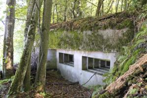 Ligne Maginot - SCHLOSSWALD 4 - (Blockhaus pour arme infanterie) - Créneaux mitrailleuses