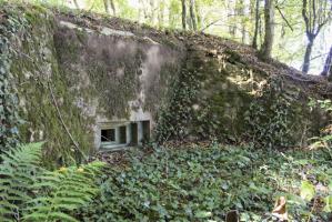 Ligne Maginot - SCHLOSSWALD 4 - (Blockhaus pour arme infanterie) - Façade de tir Est