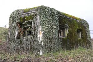 Ligne Maginot - SARRALBE BARRAGE SUD - (Blockhaus pour arme infanterie) - 