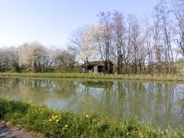 Ligne Maginot - SARRALBE CANAL - (Inondation défensive) - Prise de l’autre cote du canal