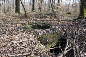 Ligne Maginot - SCHLOSSWALD 6 - (Observatoire d'infanterie) - Vue générale