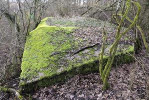 Ligne Maginot - SCHWANDELWALD 2 - (Abri) - 