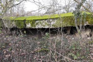 Ligne Maginot - SCHWANDELWALD 2 - (Abri) - 