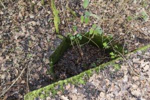 Ligne Maginot - SCHWANDELWALD 4 - (Cuve pour arme d'infanterie) - 
