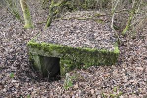 Ligne Maginot - SCHWANDELWALD 4 - (Cuve pour arme d'infanterie) - Abri contigu à la cuve