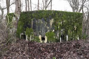 Ligne Maginot - Blockhaus SCHWANDELWALD 5 - Façade.
2 FM et 1 observatoire