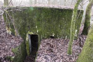 Ligne Maginot - Blockhaus SCHWANDELWALD 5 - Entrée est