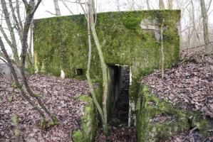 Ligne Maginot - Blockhaus SCHWANDELWALD 5 - Entrée ouest
