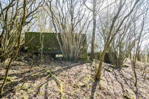 Ligne Maginot - COTE 294 - (Blockhaus pour canon) - 