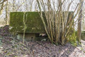 Ligne Maginot - COTE 294 - (Blockhaus pour canon) - 