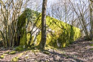 Ligne Maginot - COTE 294 - (Blockhaus pour canon) - 