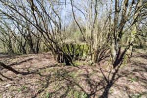 Ligne Maginot - COTE 294 - (Blockhaus pour canon) - 
