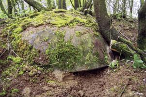 Ligne Maginot - KNALHUETTE NORD (DIGOIN) - (Observatoire d'artillerie) - 