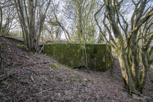 Ligne Maginot - COTE 294BIS - (Blockhaus pour arme infanterie) - 