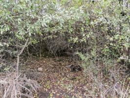 Ligne Maginot - DEHLINGEN NORD - (Central téléphonique d'observation) - Accès au bloc STG