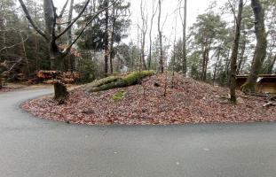 Ligne Maginot - SOMMET DU HOCHWALD 3 - (Blockhaus pour arme infanterie) - Le blockhaus, remblayé, servant de giratoire à la navette conduisant les visiteurs du Chemin des Cimes