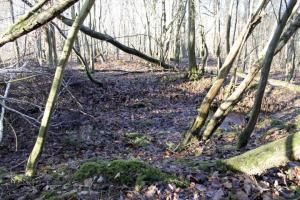 Ligne Maginot - GRAND BOIS 1 - (Blockhaus de type indéterminé) - Fouilles du blockhaus
