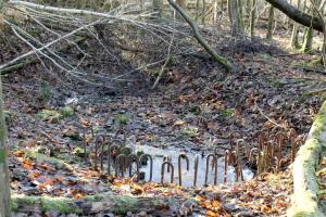 Ligne Maginot - GRAND BOIS 1 - (Blockhaus de type indéterminé) - Radier avec ferrailllage