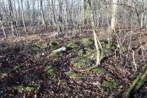Ligne Maginot - GRAND BOIS 1 - (Blockhaus de type indéterminé) - Sacs de ciment