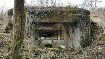 Ligne Maginot - GRAND BOIS 3 - (Blockhaus pour canon) - 