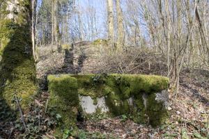 Ligne Maginot - GRAND BOIS 6 - (Cuve pour arme d'infanterie) - 