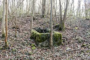 Ligne Maginot - GRAND BOIS 6 - (Cuve pour arme d'infanterie) - 