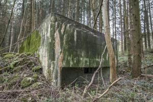 Ligne Maginot - GROSSWALD 3 - (Blockhaus pour arme infanterie) - Flanquement gauche