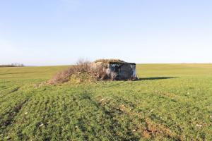 Ligne Maginot - PIFFERSRAEDCHEN 1 - (Blockhaus pour arme infanterie) - 