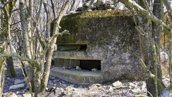 Ligne Maginot - PIFFERSRAEDCHEN 2 - (Blockhaus pour arme infanterie) - 