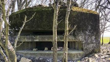 Ligne Maginot - PIFFERSRAEDCHEN 2 - (Blockhaus pour arme infanterie) - 