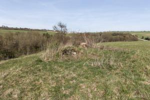 Ligne Maginot - SALWIESE 1 - (Blockhaus pour arme infanterie) - 