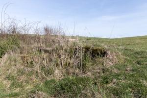 Ligne Maginot - SALWIESE 1 - (Blockhaus pour arme infanterie) - 