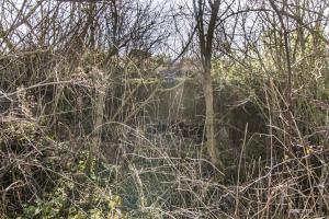 Ligne Maginot - SALWIESE 1 - (Blockhaus pour arme infanterie) - 