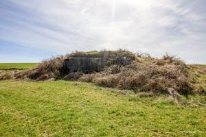 Ligne Maginot - SALWIESE 3 - (Blockhaus pour arme infanterie) - 
