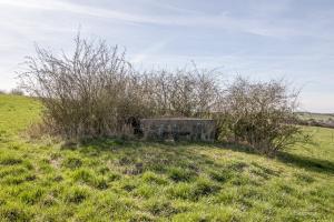 Ligne Maginot - SALWIESE 4BIS - (Blockhaus pour arme infanterie) - 