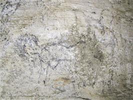 Ligne Maginot - POINT D'APPUI PK119 -1 - (Abri) - Graffiti d'une grande finesse...