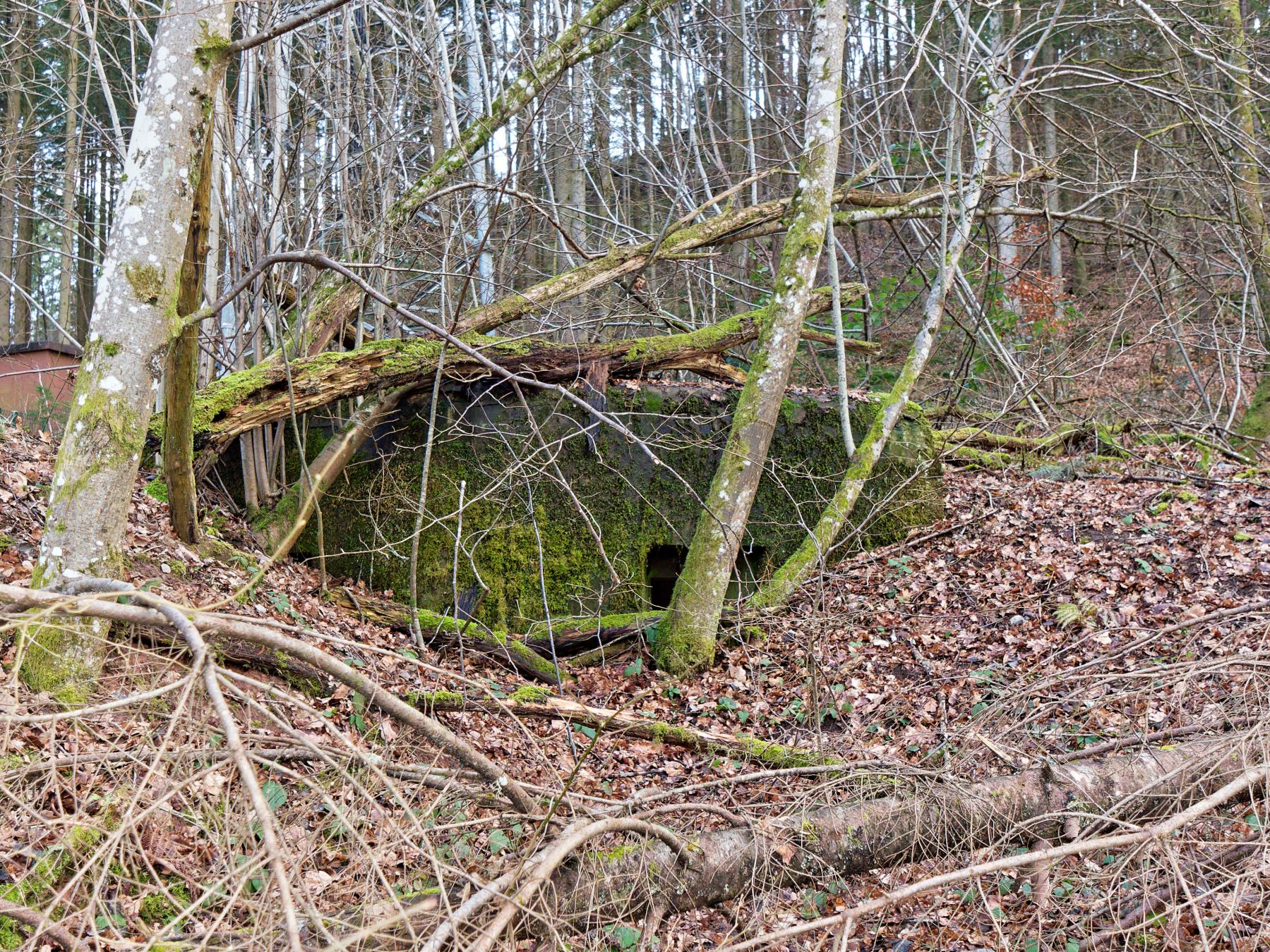 Ligne Maginot - NEUWEIHER 2 - (Blockhaus pour canon) -  - Jürgen Morr