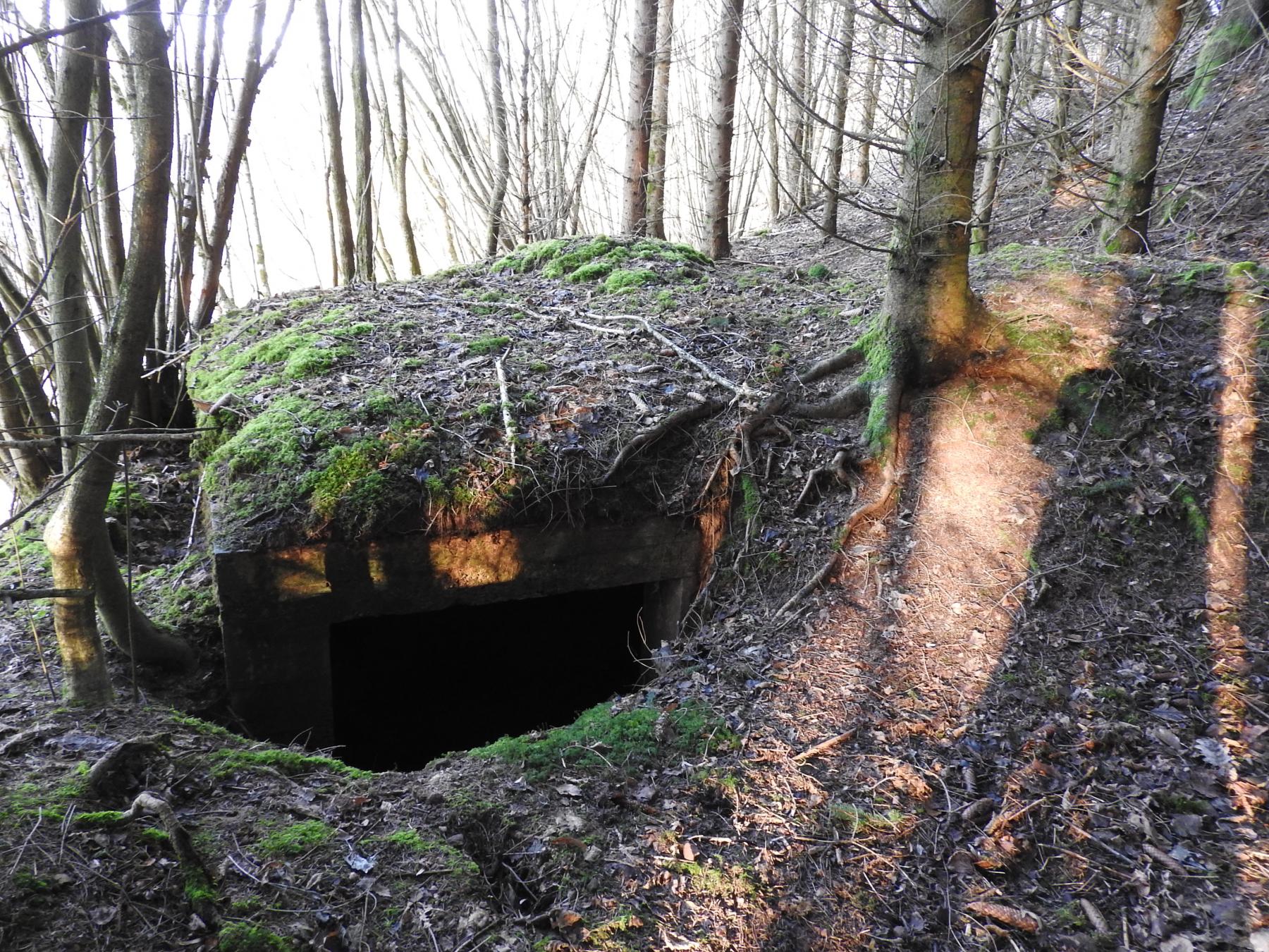 Ligne Maginot - FROHMUEHL NORD - (Blockhaus pour canon) - L'entrée du blockhaus.