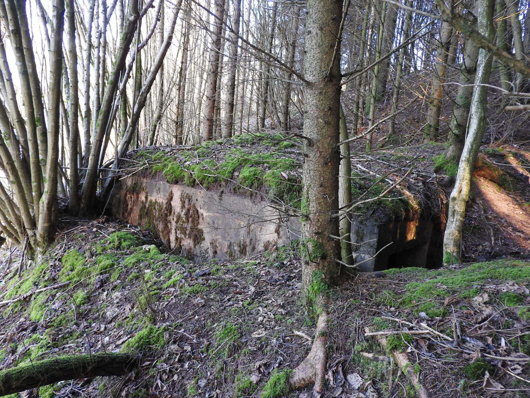Ligne Maginot - FROHMUEHL NORD - (Blockhaus pour canon) - La façade de tir remblayée.