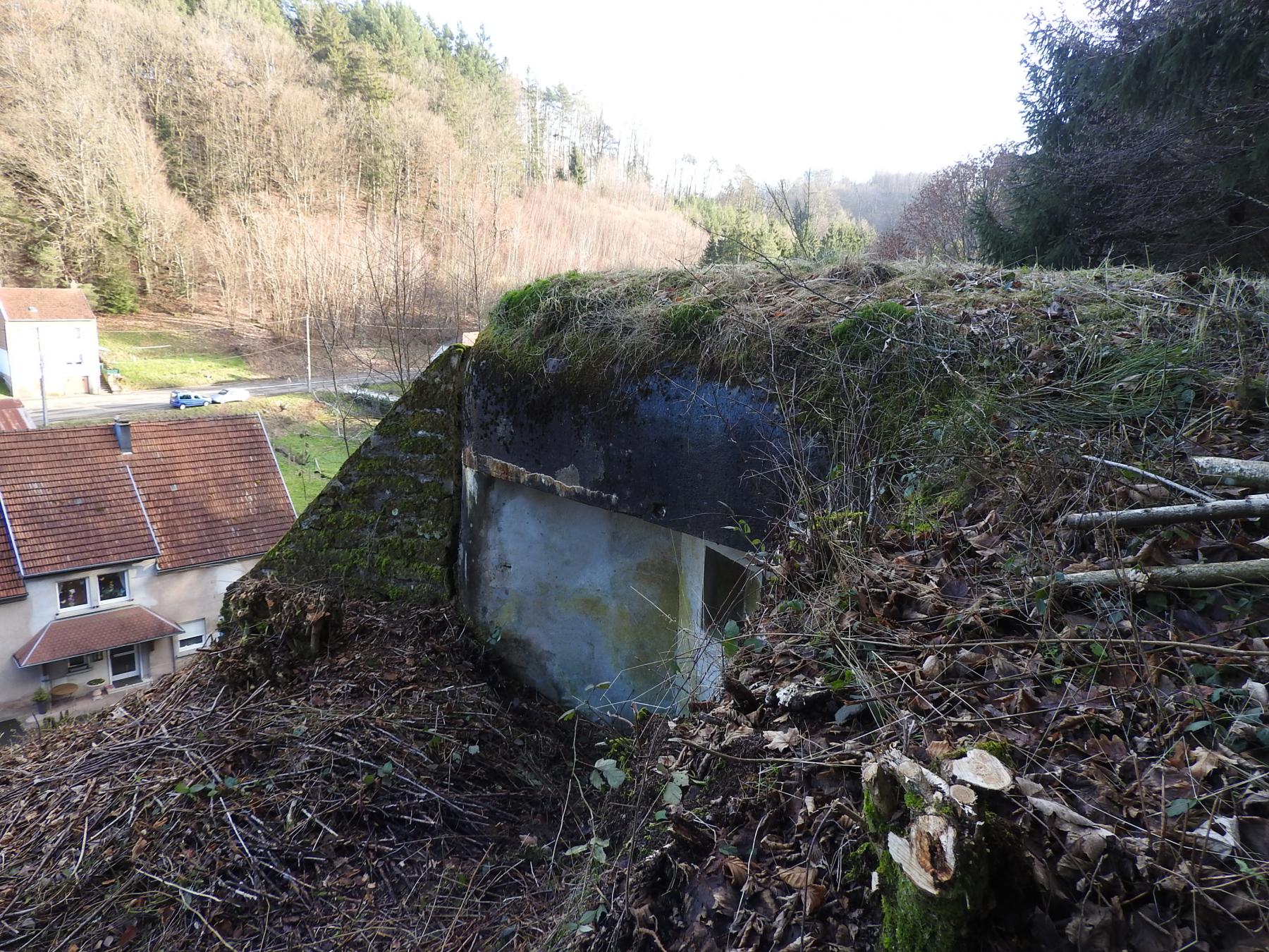 Ligne Maginot - FROHMUHL OUEST - (Blockhaus pour arme infanterie) - La façade de tir vers le carrefour. - STENGER Mathieu