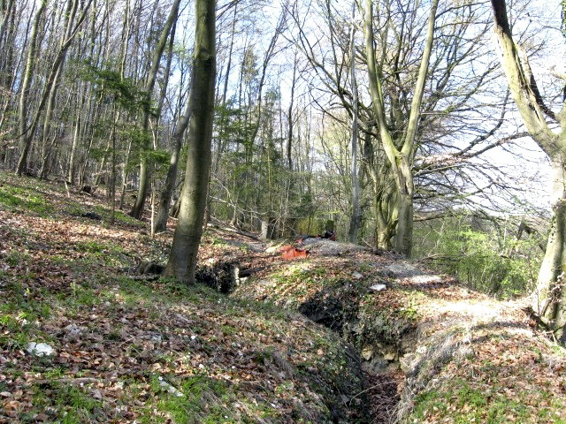 Ligne Maginot - MEISTERBUSCH 4 - (Cuve pour arme d'infanterie) - Tranchée de liaison entre l'observatoire et l'encuvement