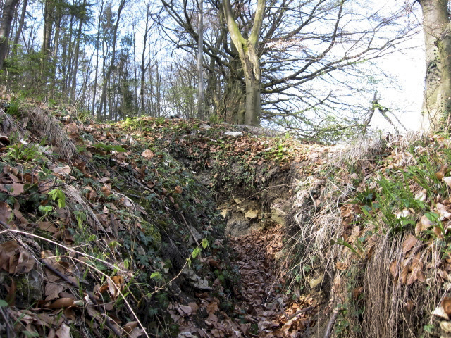 Ligne Maginot - MEISTERBUSCH 4 - (Cuve pour arme d'infanterie) - La tranchée